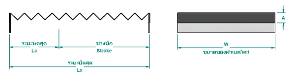 Flat Bellow Design