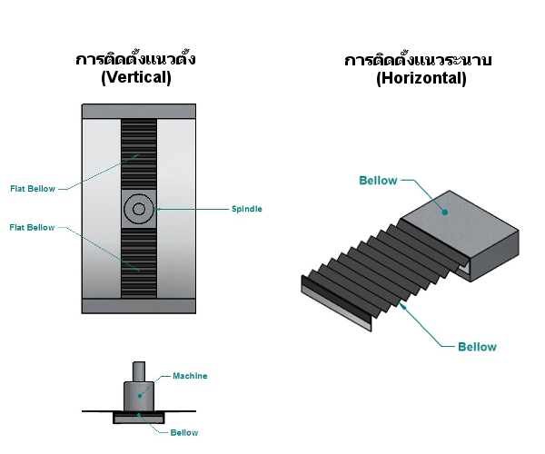 Flat Bellow Design 2